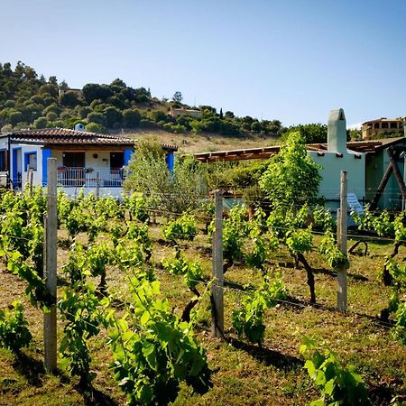 Casa Museddu Βίλα Cardedu Εξωτερικό φωτογραφία